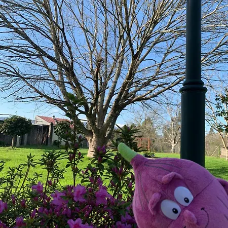 La Maison D'abelleira Habitación en casa particular Ponteareas