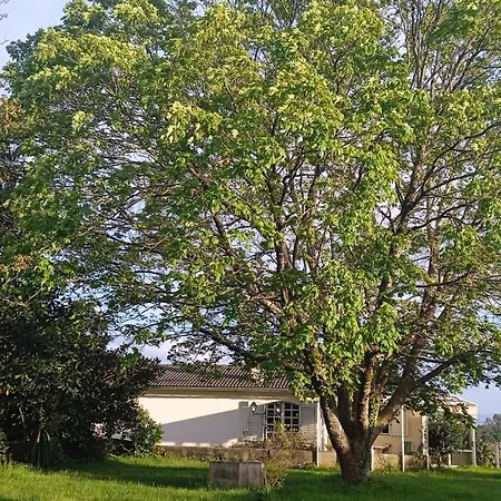La Maison D'abelleira Ponteareas