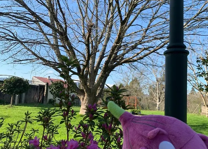 La Maison D'abelleira Pansiyon Ponteareas